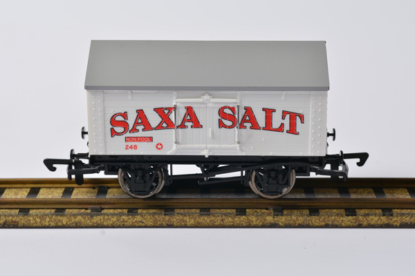 WRCC4 Saxa Salt Van